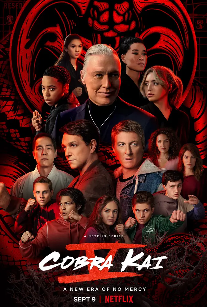 Cobra Kai 2018 - tvSeries