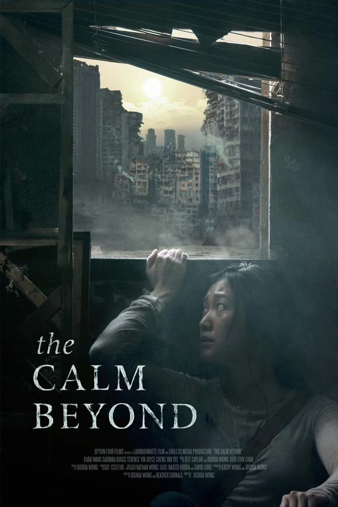 The Calm Beyond 2020 - movie